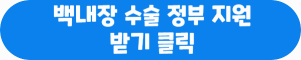 백내장 수술 정부 지원 받기 클릭이라는 문구가 적힌 사진