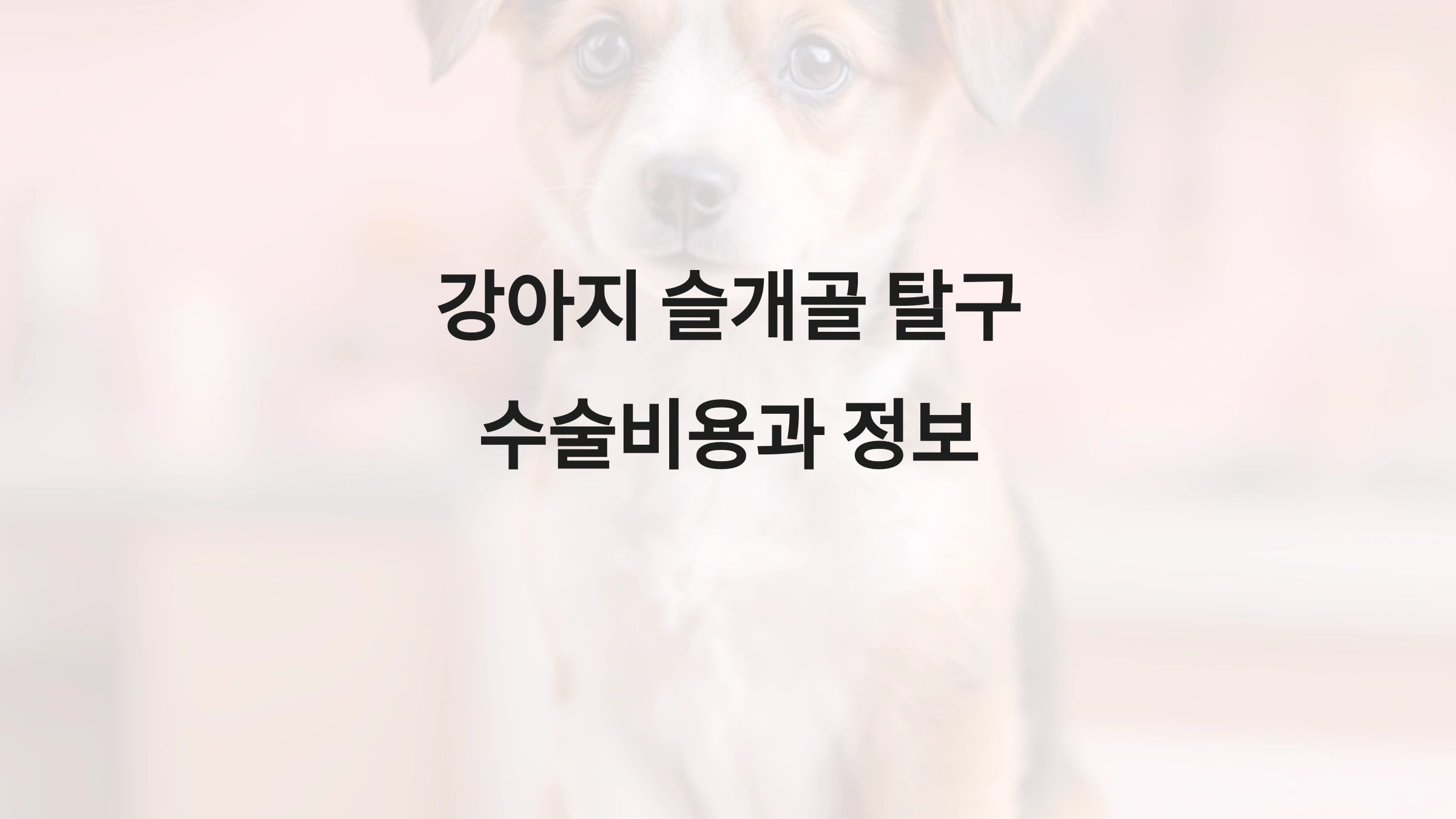 강아지 슬개골 탈구 수술비용과 정보