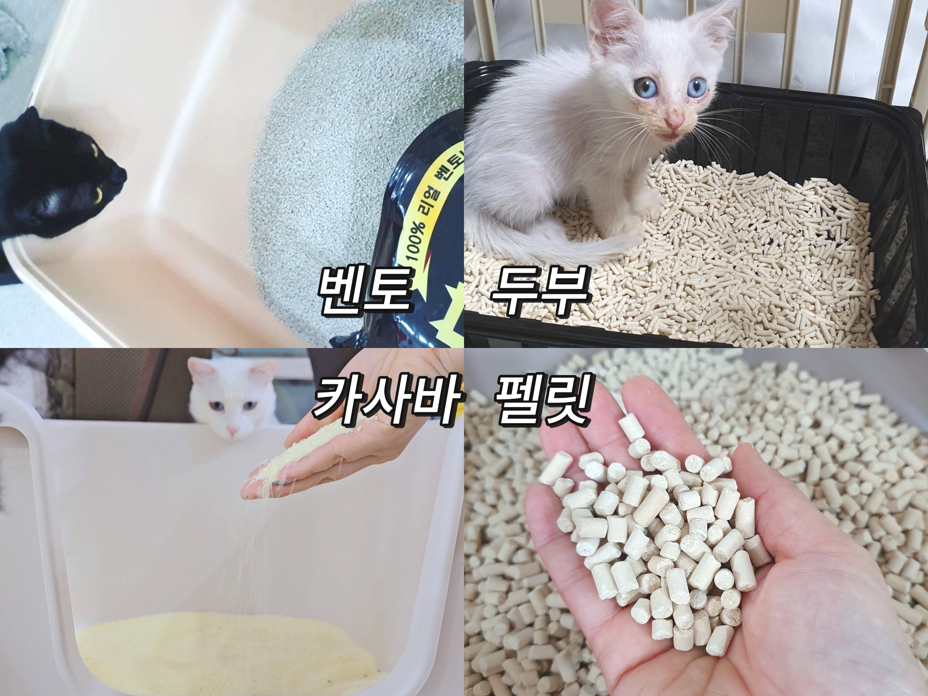고양이모래