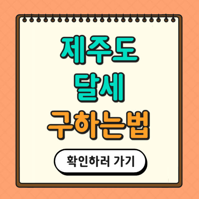 제주도 달세 구하는 방법에 대한 사진