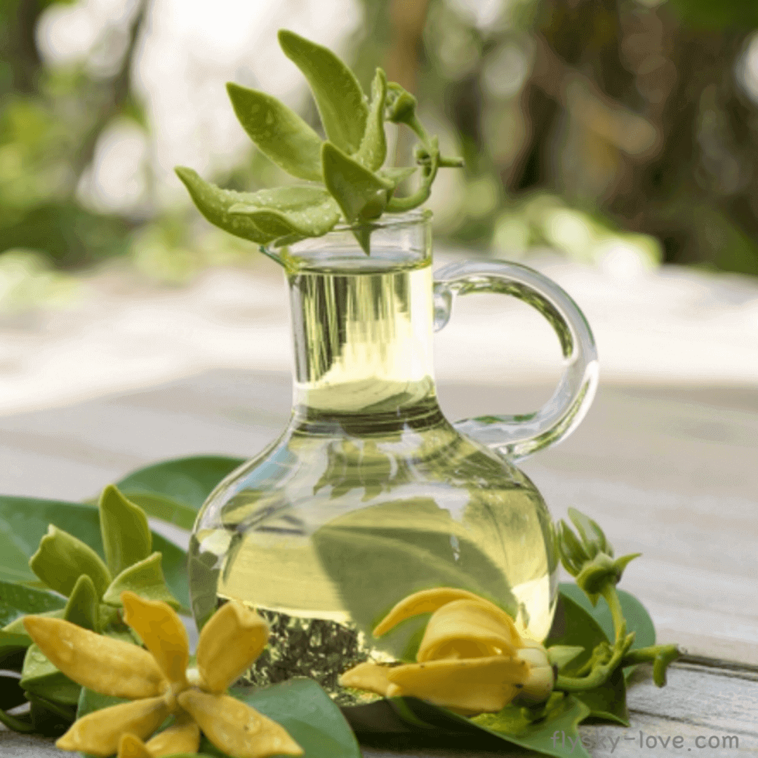 일랑일랑 (Ylang-Ylang) 오일