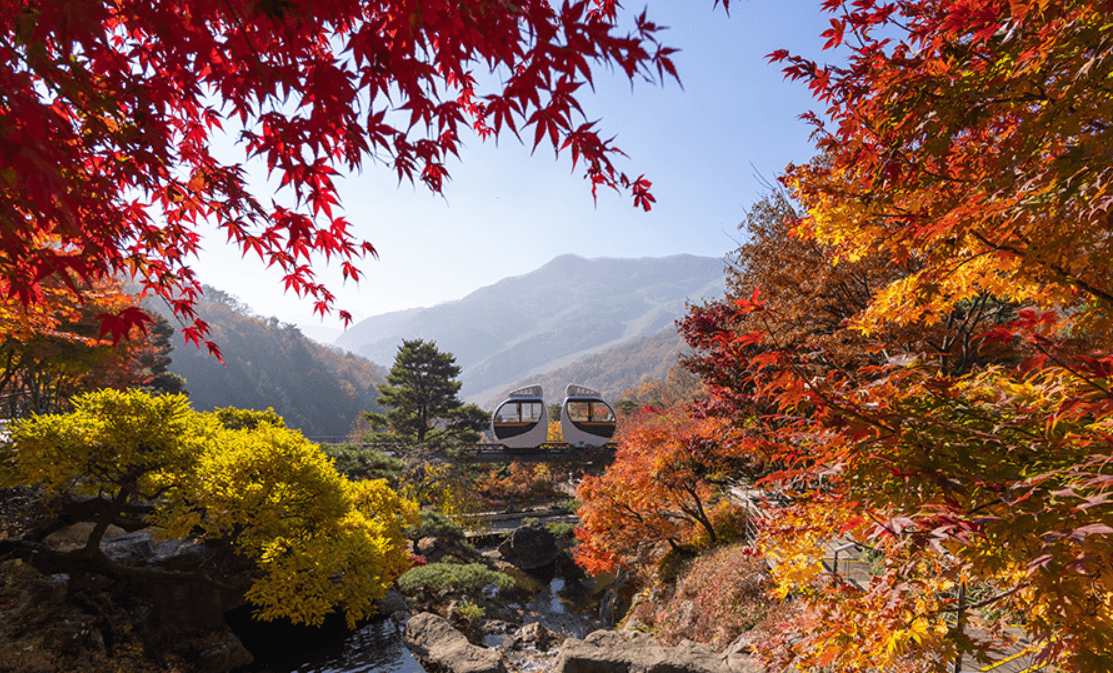 화담숲 할인카드