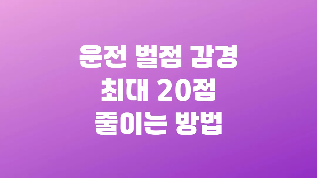 운전 벌점 감경 최대 20점 줄이는 방법