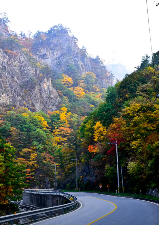 삼척 가볼만한곳 베스트10