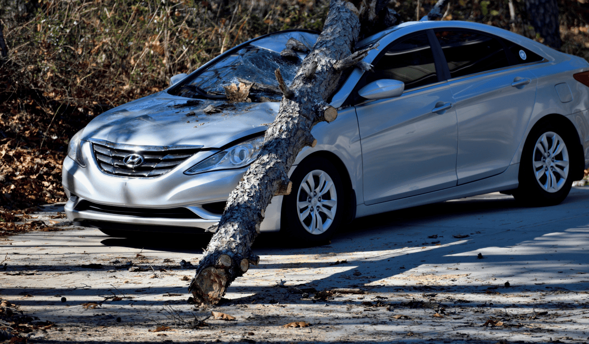 교통사고_합의금_11