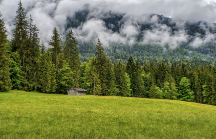 전국 자연휴양림 예약방법 할인혜택 총정리!