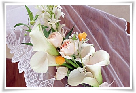 화초 &quot;튜베로즈&quot; 농염과 환락의 꽃내음, 달빛 아래 피어나는 월하향 향기의 마법!