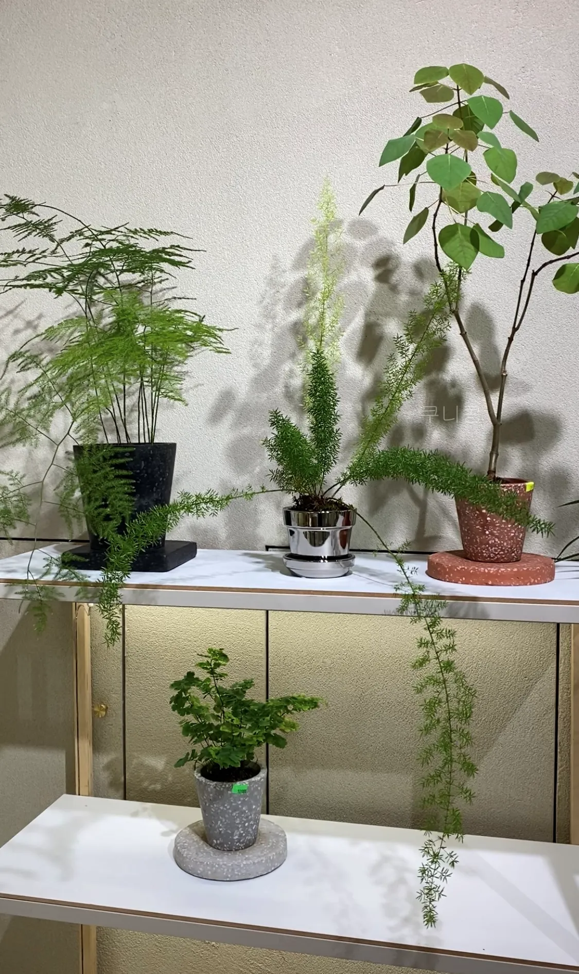 성수동-식집사-갈만한-곳-추천,-식물-구경하기-좋은-틸테이블