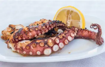 문어 가격 및 효능, 영양성분