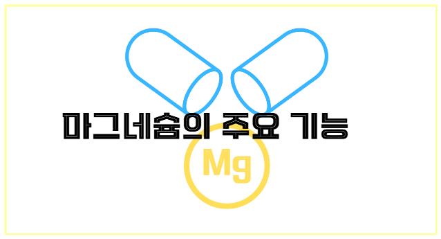 마그네슘의 주요 기능