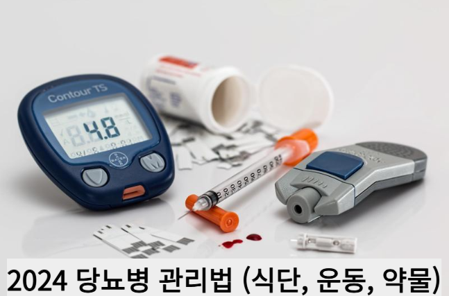 2024 당뇨병 관리법 (식단, 운동, 약물)