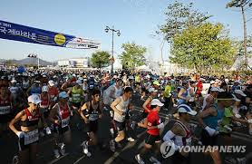 경주 벚꽃 마라톤 관련 사진