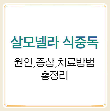 여름철 살모넬라 식중독 증상, 예방법, 치료 총정리