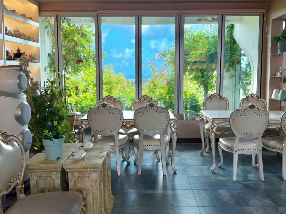 제주 핑크뮬리 명소 마노르블랑