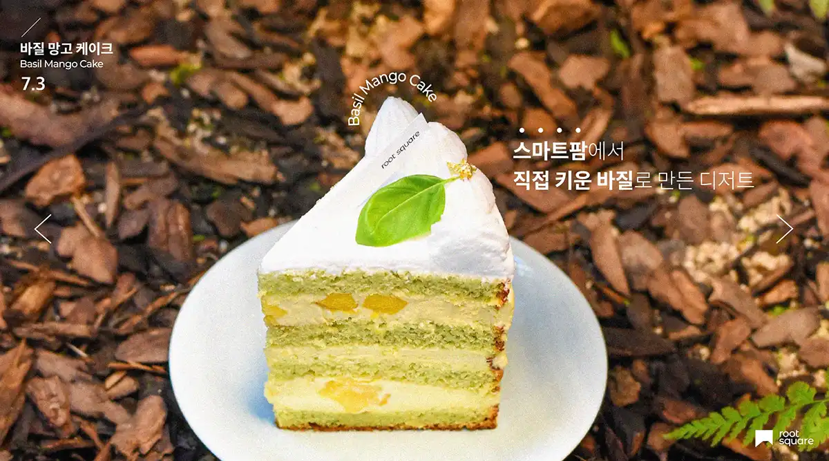 바질로 만든 생크림 케이크