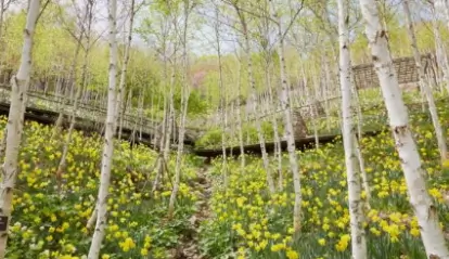 화담숲 입장료 예약