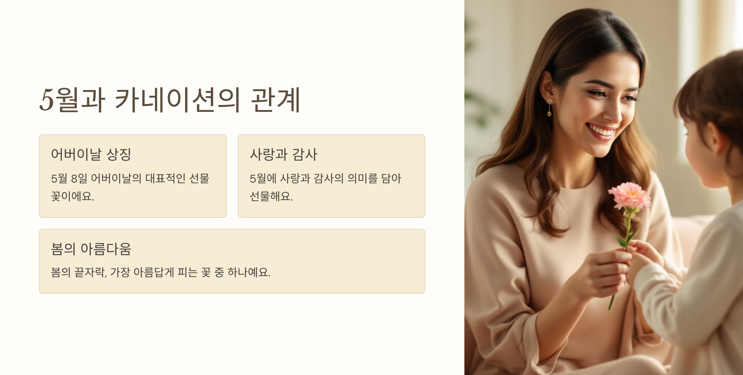 카네이션