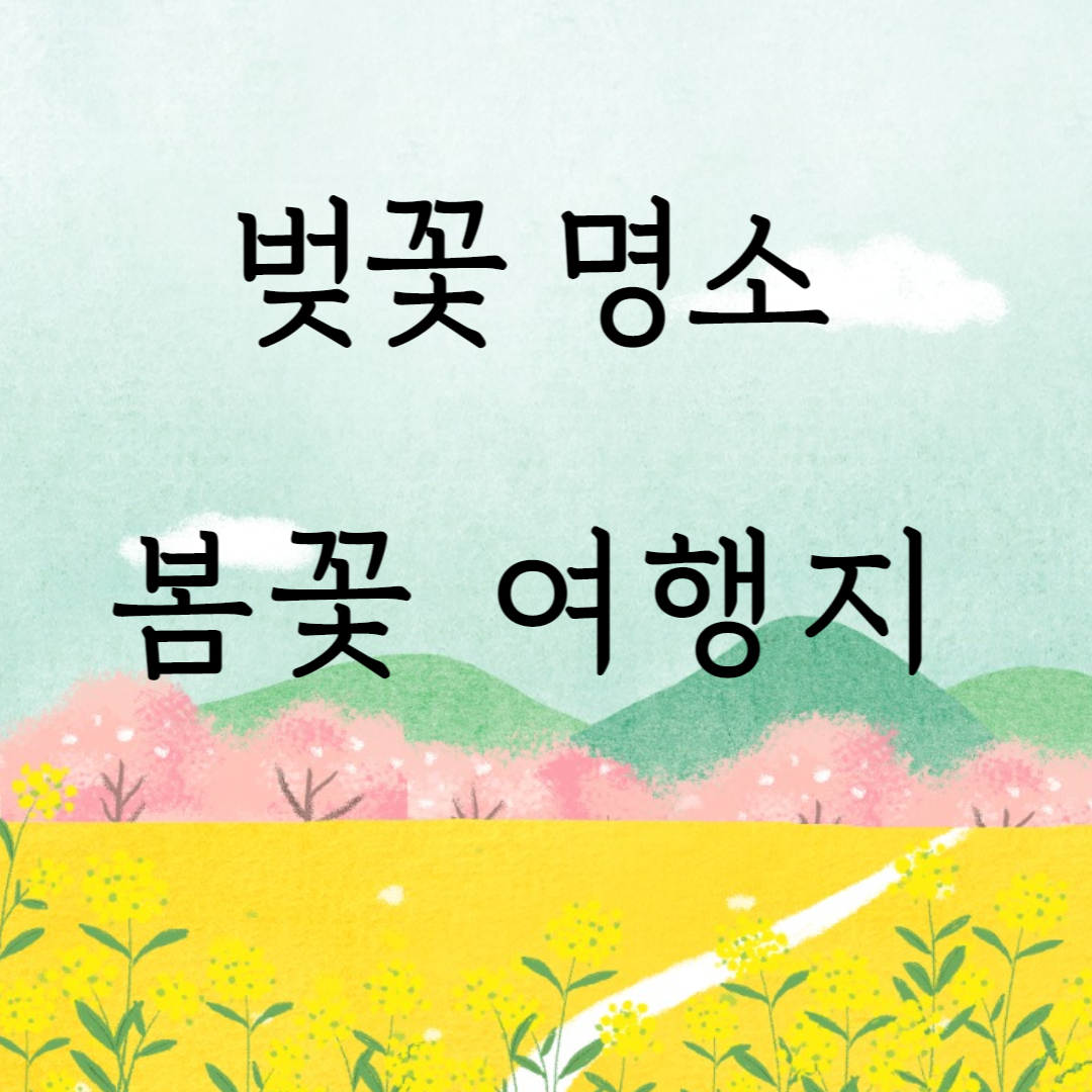 벚꽃축제벚꽃명소봄꽃여행지