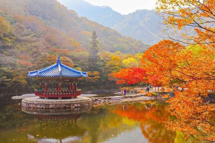 내장산국립공원-우화정