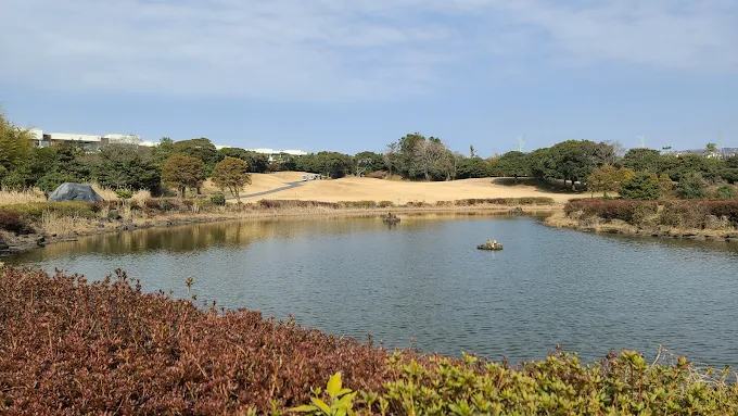 '캐슬렉스 제주 골프클럽' 소개 및 예약방법
