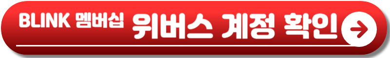 블랙핑크 콘서트