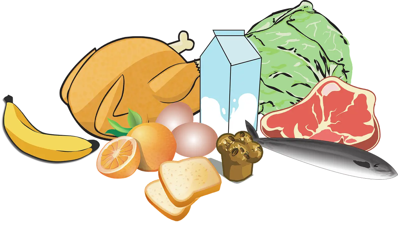 배양육과 식물성 대체육의 차이점