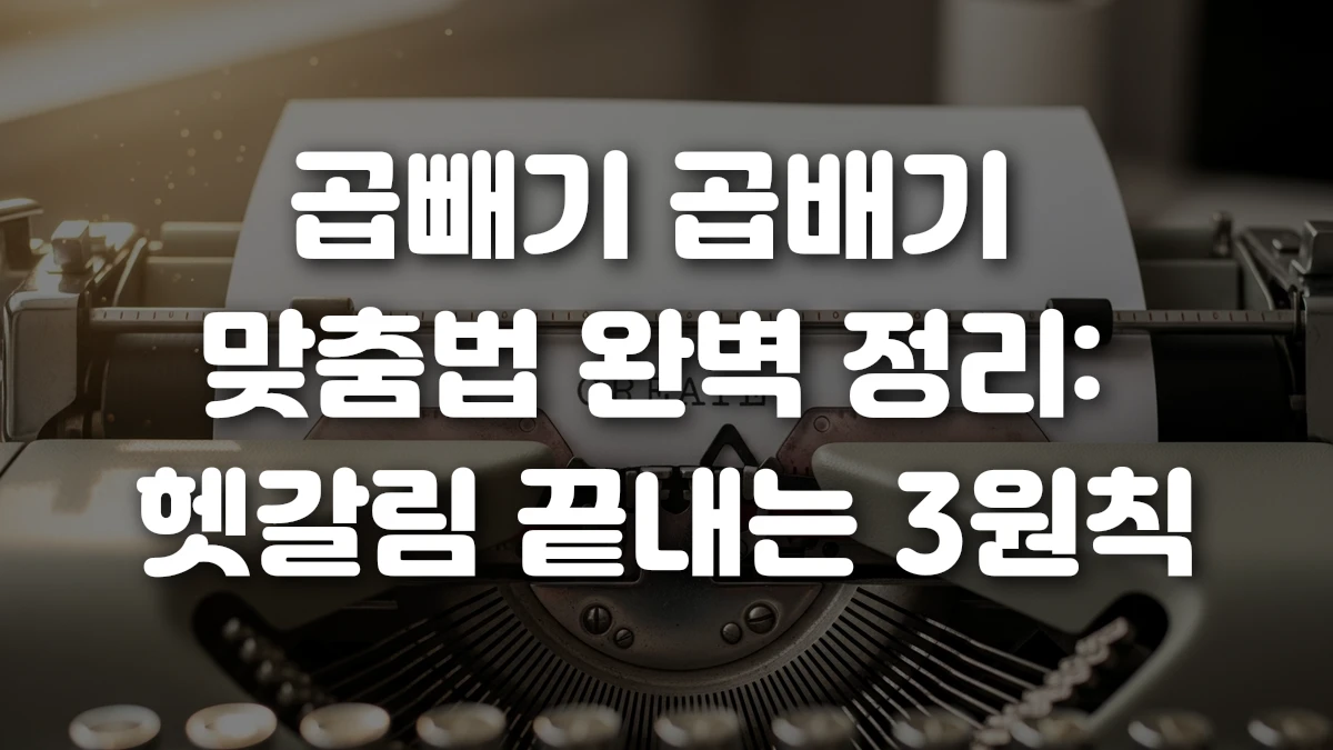 곱빼기 곱배기 맞춤법 완벽 정리 헷갈림 끝내는 3원칙