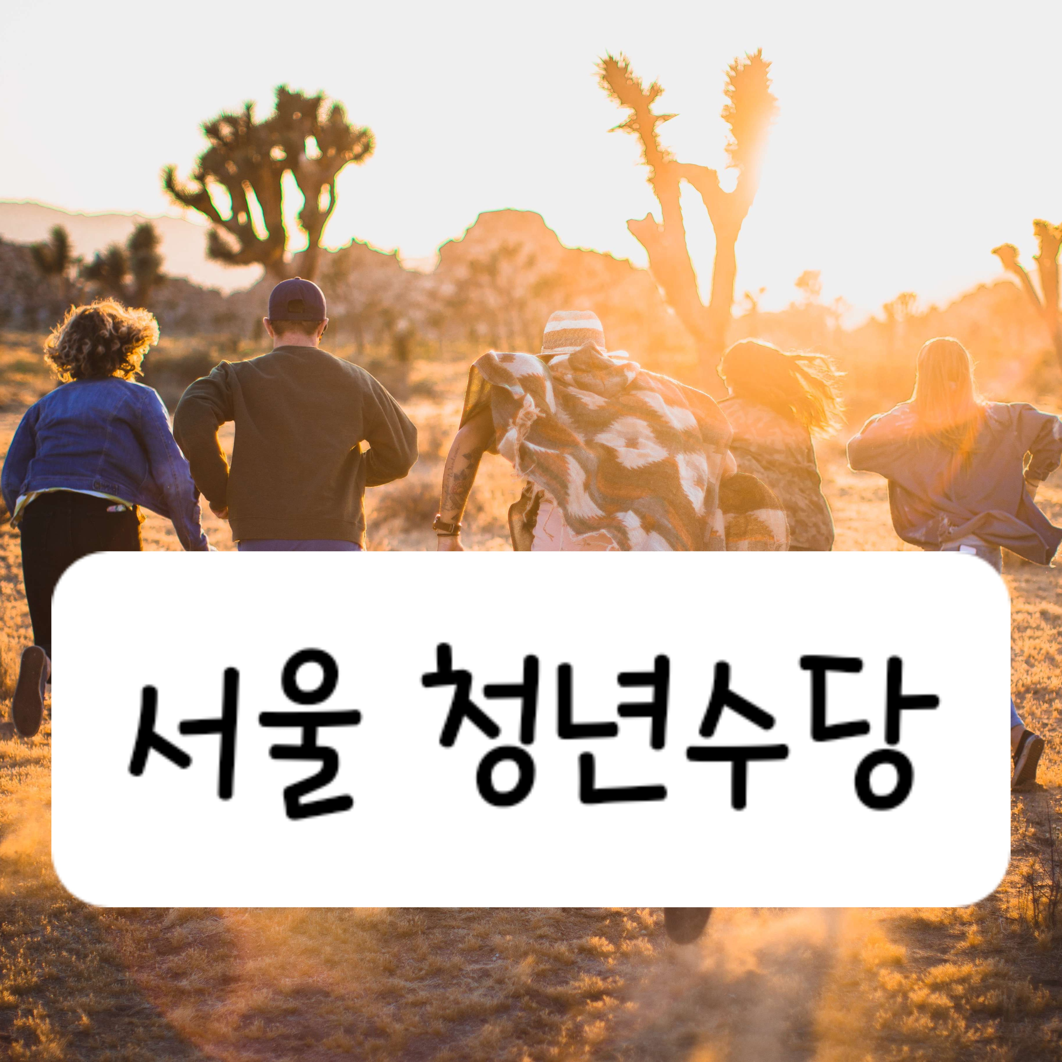 서울 청년수당