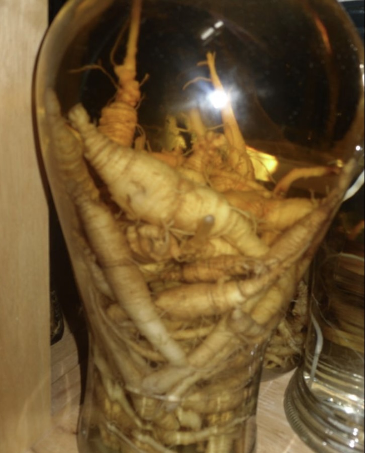 더덕 주 효능 및 술담그는 방법