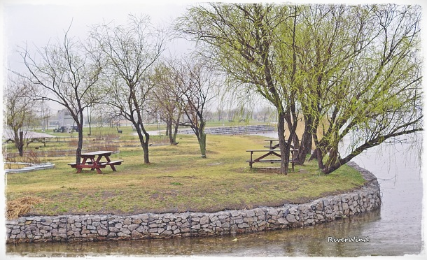 봄비오는 삼락공원(三樂公園)