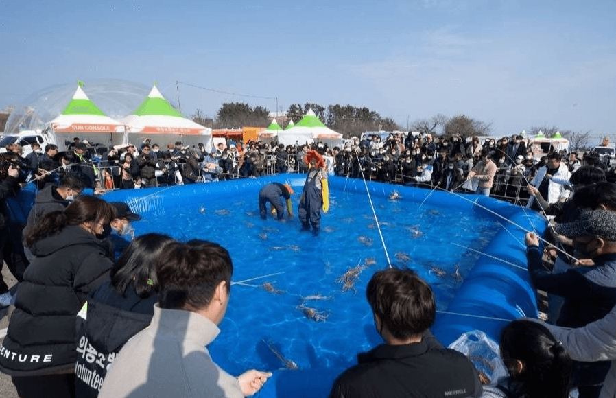 2025 영덕 대게축제 기간 가격 프로그램 주차장