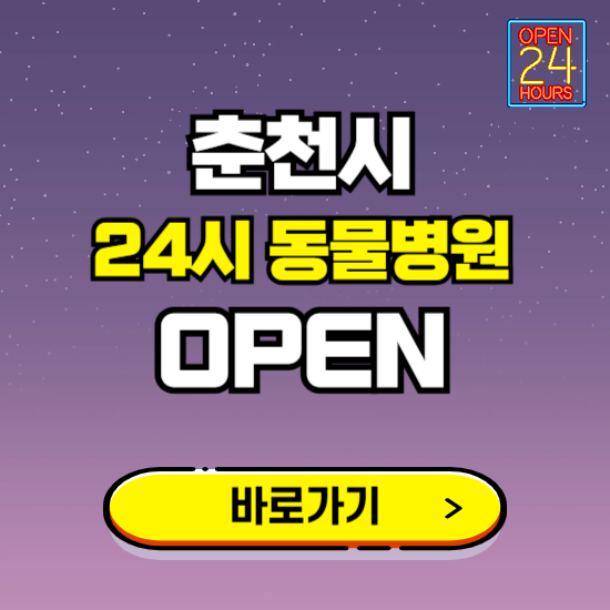 춘천시 24시 동물병원 진료하는 곳 ❘ 설날 휴일 야간 심야 문여는곳 찾기 ❘ 응급진료