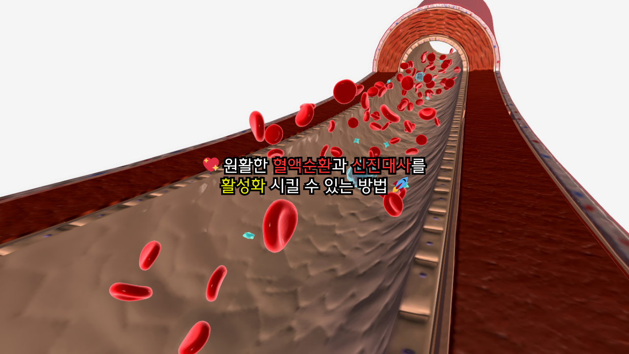원활한 혈액순환과 신진대사를 활성화 시킬 수 있는 방법