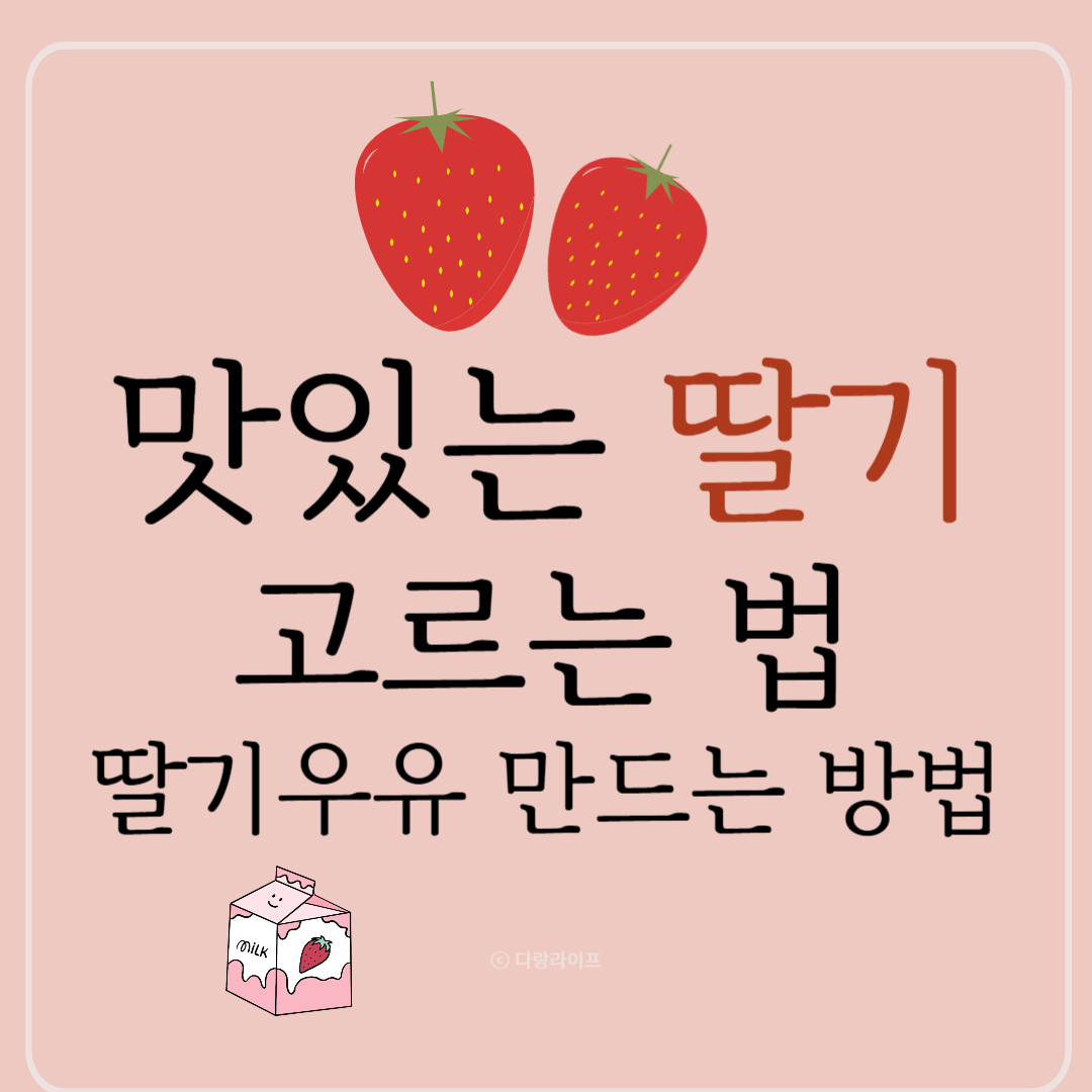 딸기고르는법 딸기 맛있는 딸기 딸기우유 딸기청