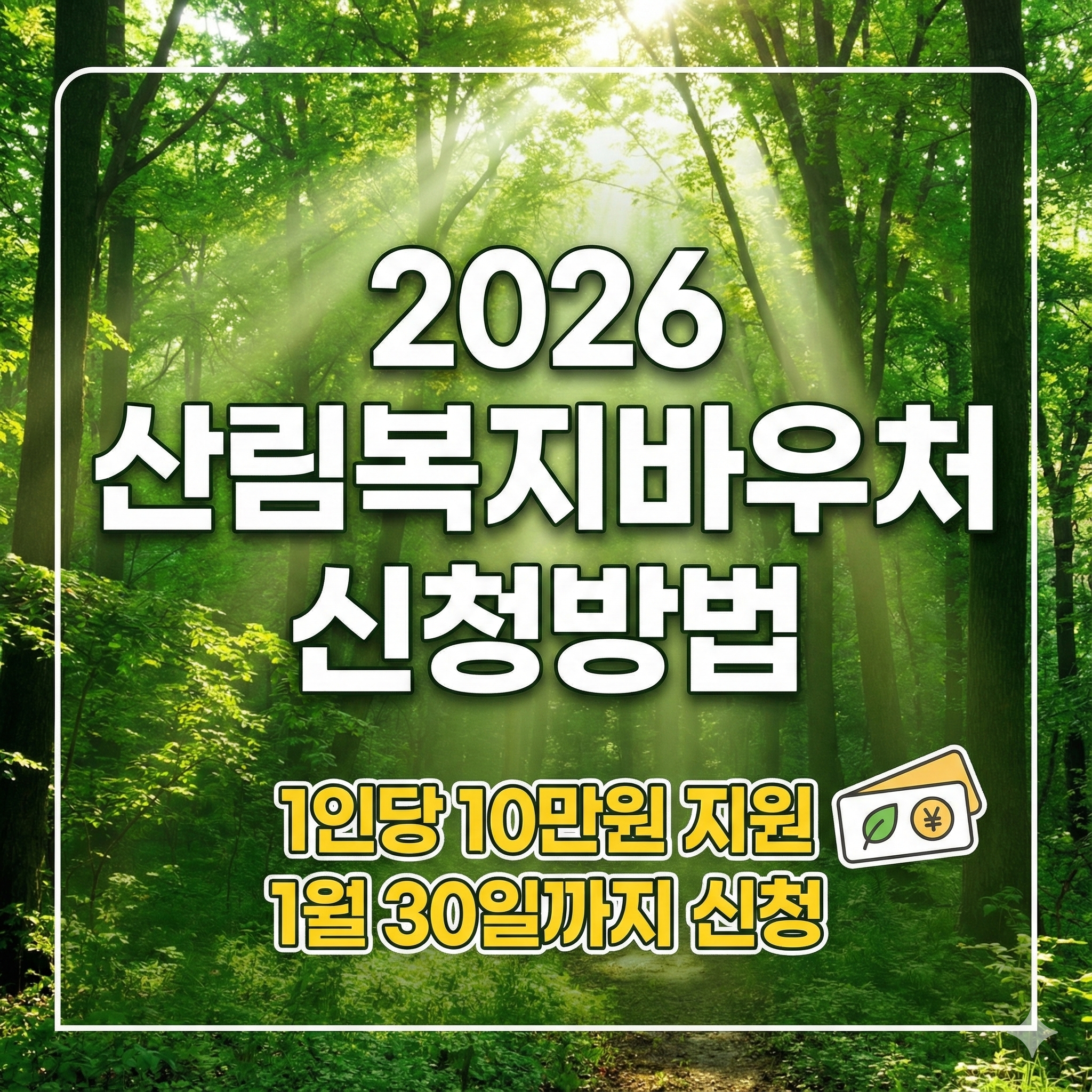 산림복지바우처 신청 방법 및 대상 지원 금액 총정리