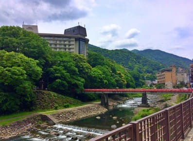 초록색 나무뒤로 큰 건물이 보인다