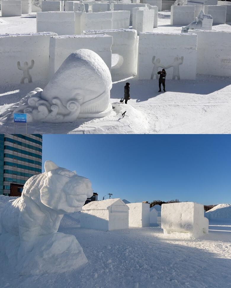 상단사진은 거대한 고래모양을 한 눈조각품이 입을 크게 벌리고 있고 그 앞에서 한여성이 서서 포즈를 취하고 다른 한남성이 사진을 찍어주고 있는 모습이고 하단사진은 거대한 호랑이 모습은 한 조각품이 있는 축제장 전경