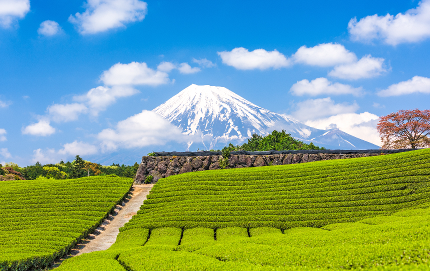 후지산 제대로 보는 법｜가와구치호부터 아라쿠라야마까지 완벽 가이드