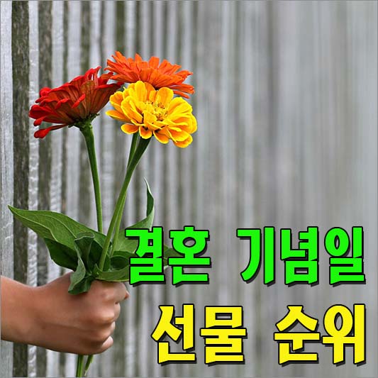 결혼 기념일 선물 순위 소개