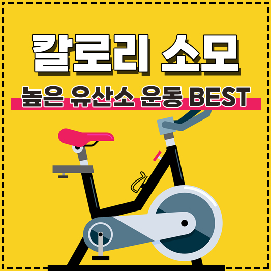 유산소 칼로리 소모 높은 운동 BEST