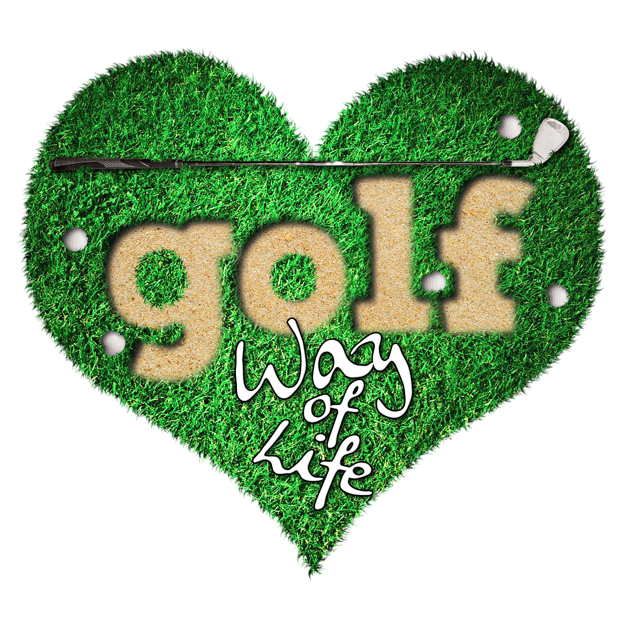 25년 골프 장비 추천