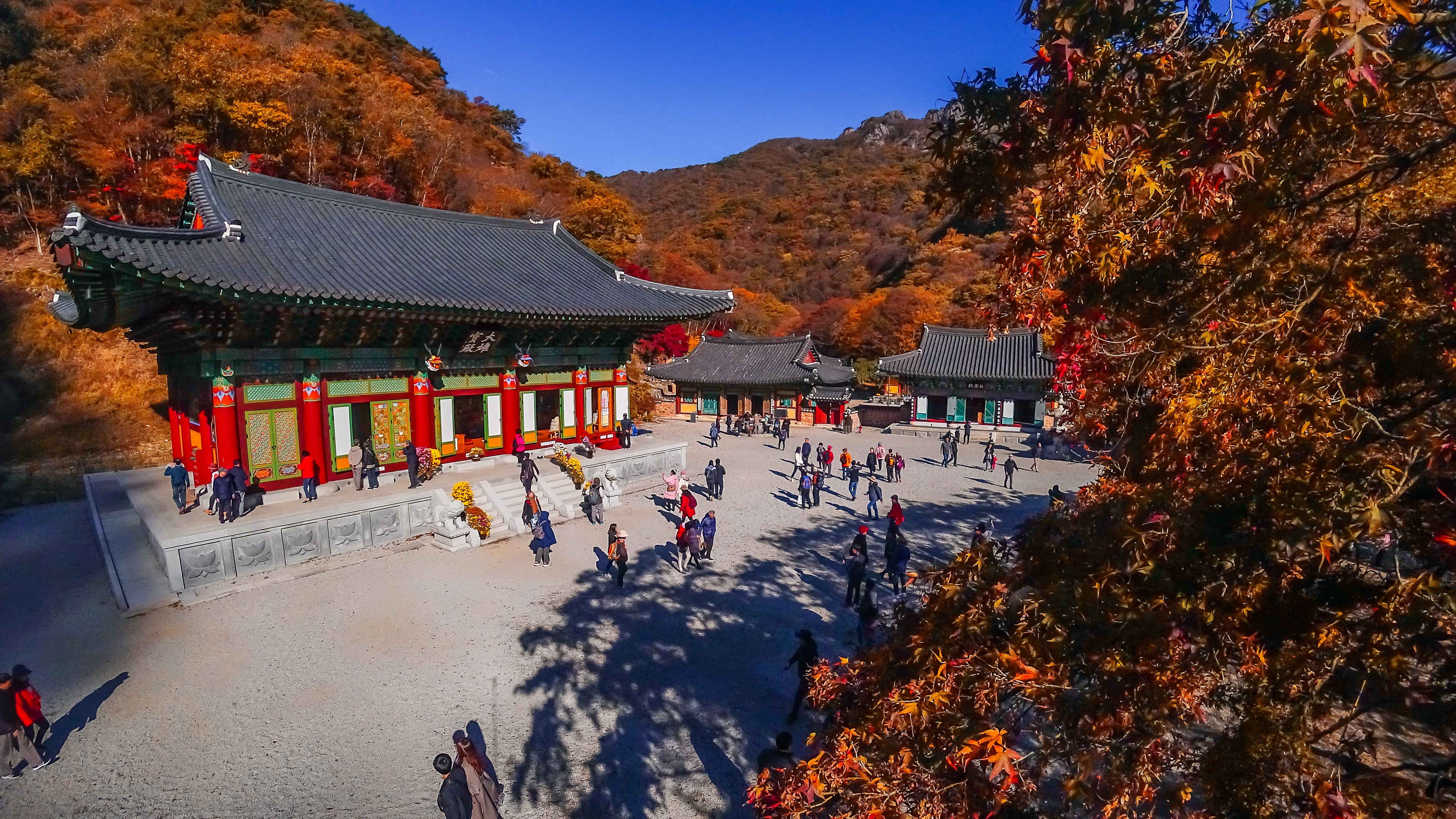 백양사의 깊어가는 가을