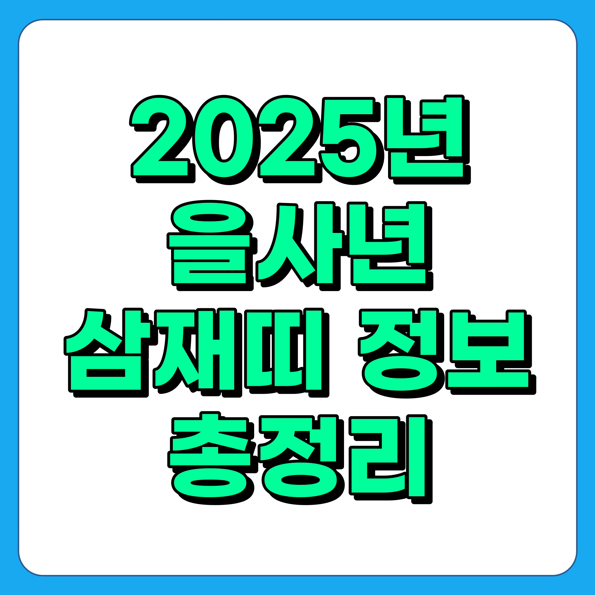 2025년 삼재띠(돼지띠,토끼띠, 양띠) 정보 및 주의사항 총정리
