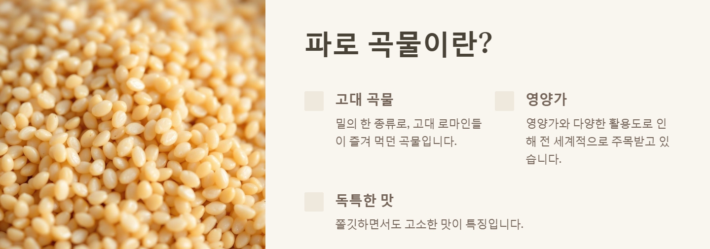 파로 곡물 효능 먹는법 요리