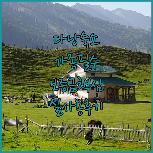 베트남 다낭 가족 여행 숙소 추천 리..