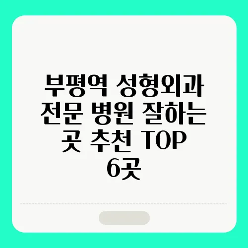 부평역 성형외과 전문 병원 잘하는 곳 추천 TOP 6곳
