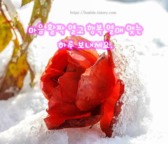 아침인사-좋은글-이미지