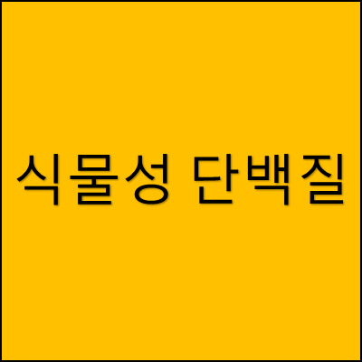 식물성 단백질 썸네일