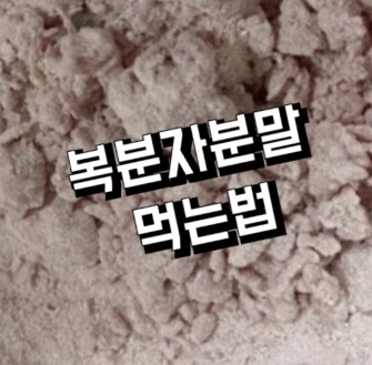 복분자발효농축분말-먹는법