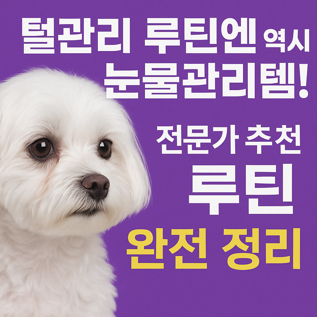 털관리 루틴